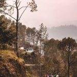 Купить диплом в краснодаре с занесением в реестр image_1111-141.jpg